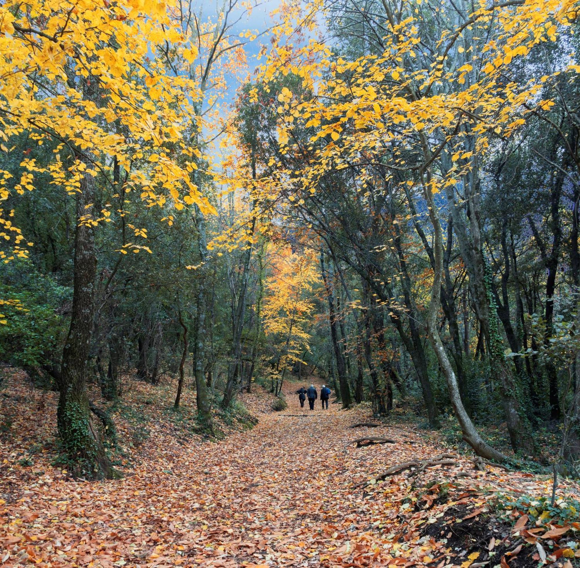 Mas Can Calet Aparthotel Les Franqueses del Vallès Esterno foto